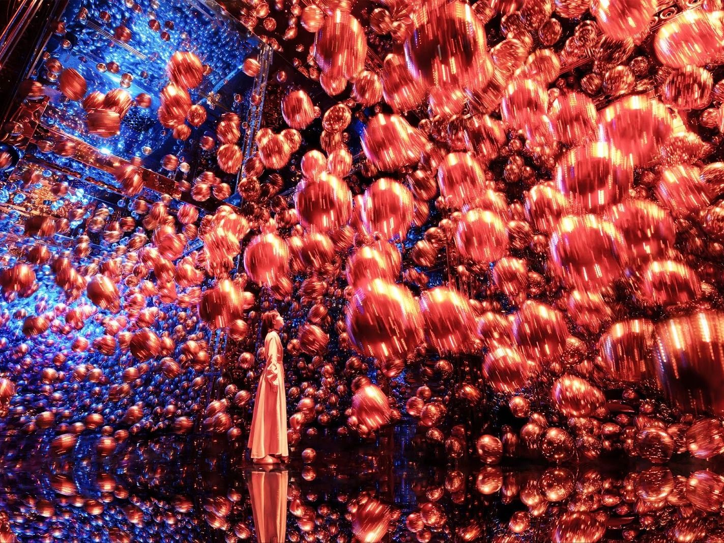 Art collective teamLab set to unveil Biovortex Kyoto museum in October 2025